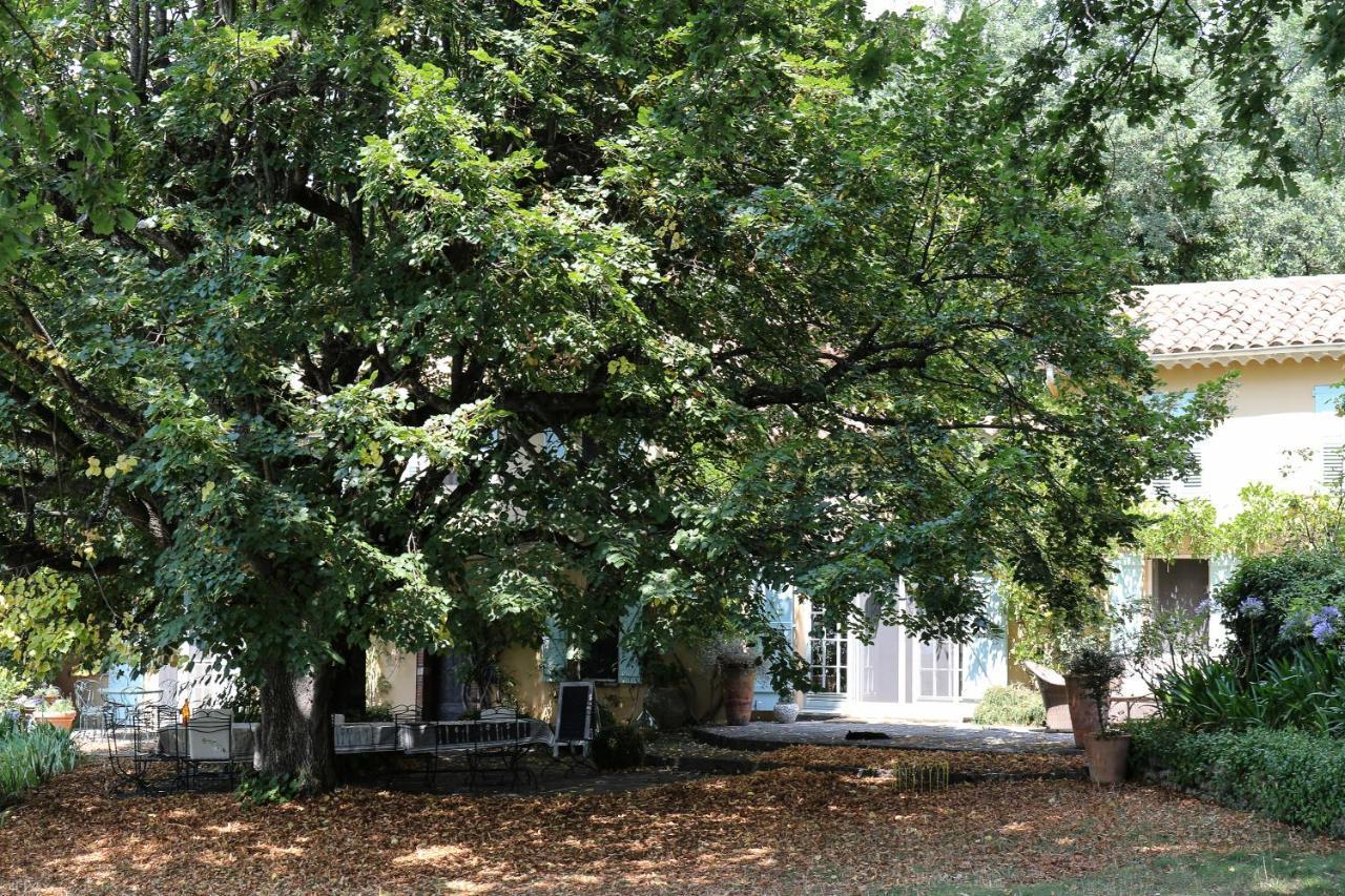 Domaine Des Tilleuls D'Or Saint-Cézaire-sur-Siagne Exterior foto