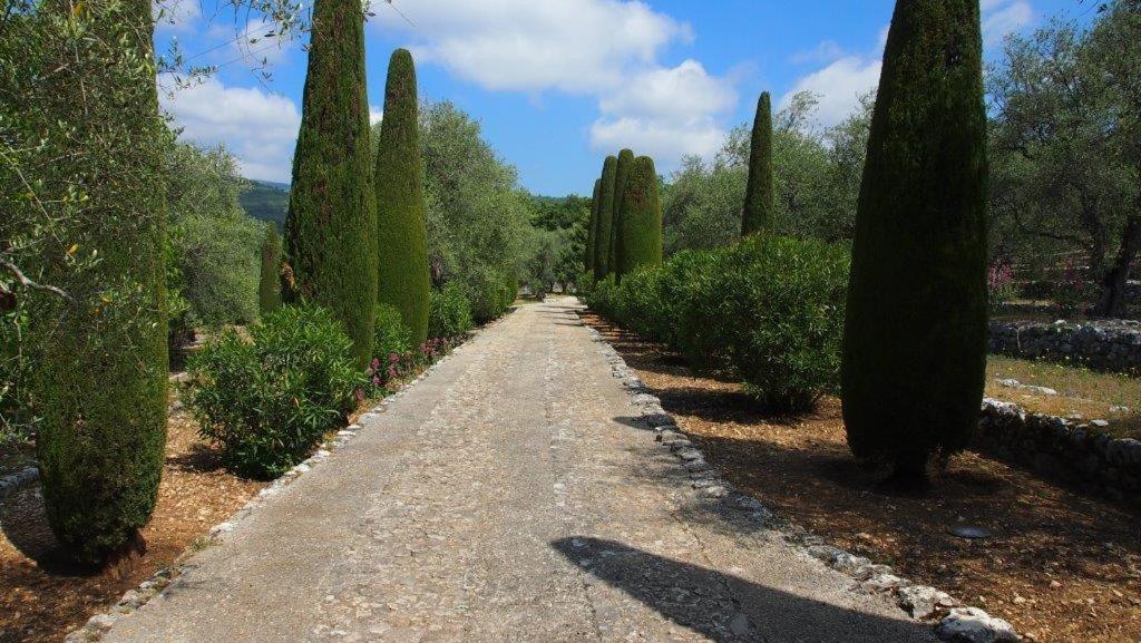Domaine Des Tilleuls D'Or Saint-Cézaire-sur-Siagne Exterior foto