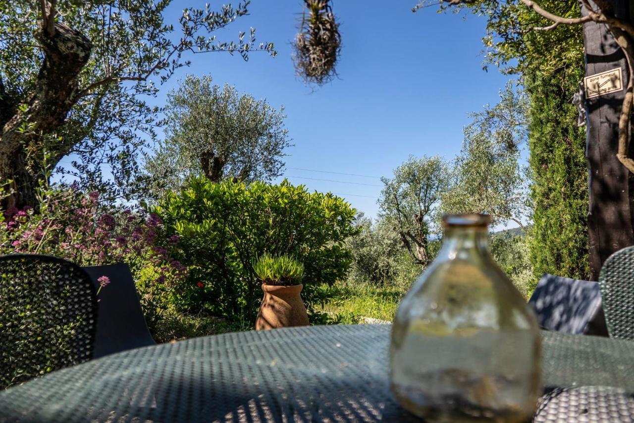 Domaine Des Tilleuls D'Or Saint-Cézaire-sur-Siagne Habitación foto